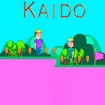 Кайдо