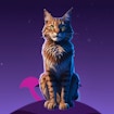 Кот Плинко