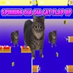 Крутящийся Ойя Ойя Кошачий Люк Вверх
