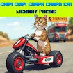 Кот Чипи Чапи на шоссе